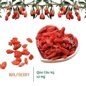 Qủa Câu kỷ tử Mỹ | Wolfberry