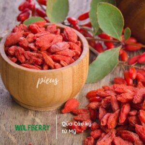 Qủa Câu kỷ tử Mỹ | Wolfberry