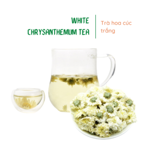 Trà hoa cúc trắng | White Chrysanthemum Tea